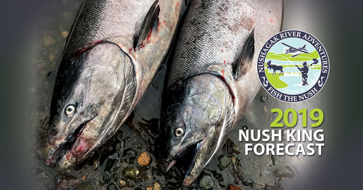 Nushagak Fishing Report 2019 Kings