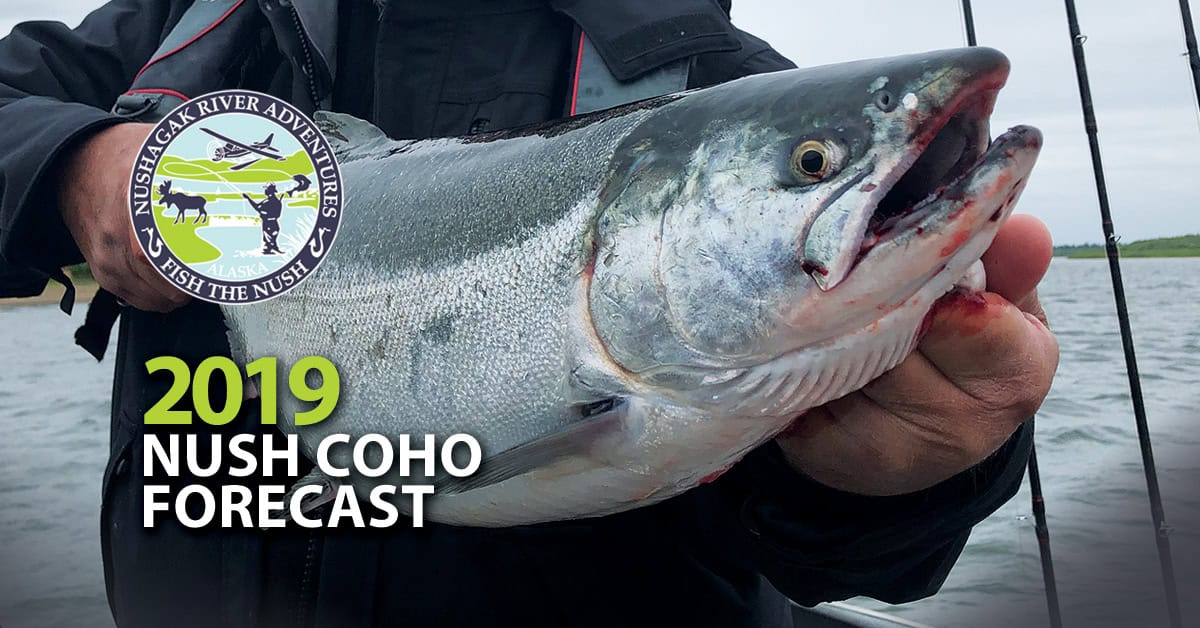 2019 Nushagak Coho Forecast