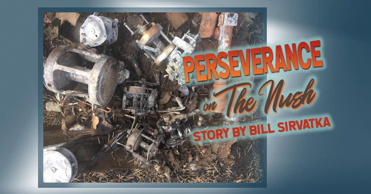 Perseverance on The Nush