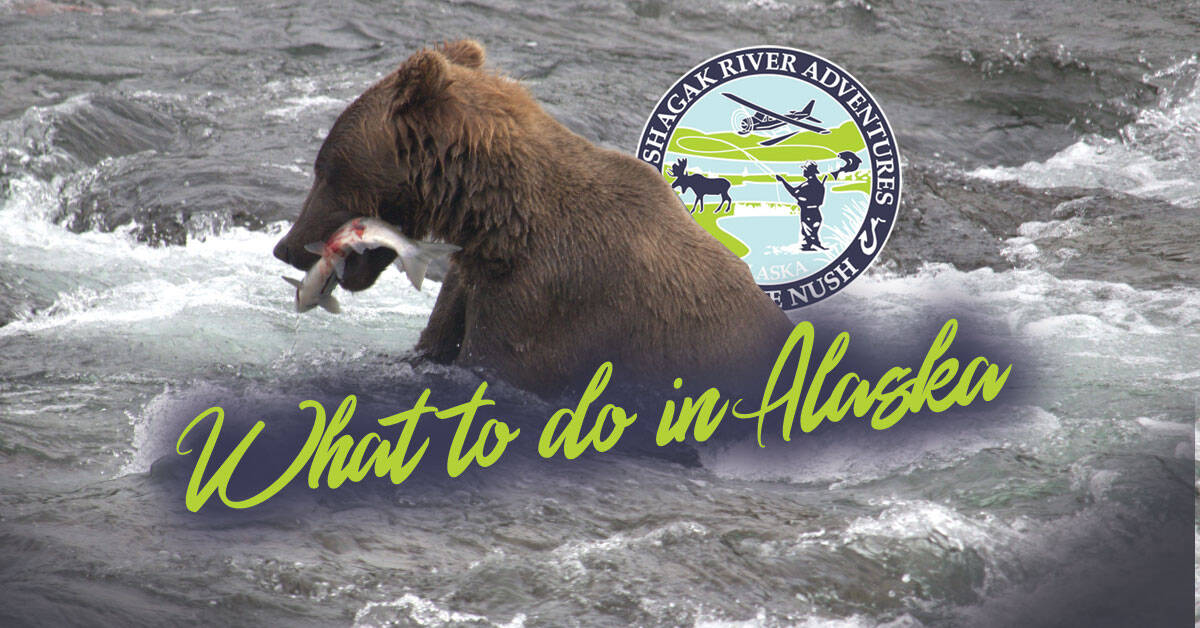 What to do in Alaska