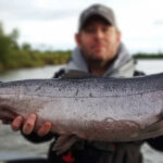 How Can You Master Alaska Fly Fishing on the Legendary Nushagak?